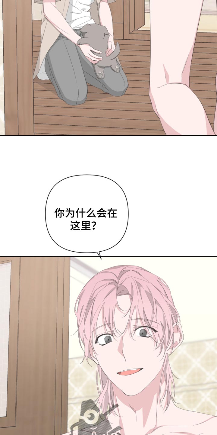 第76章：【第二季】四条腿的金英才28