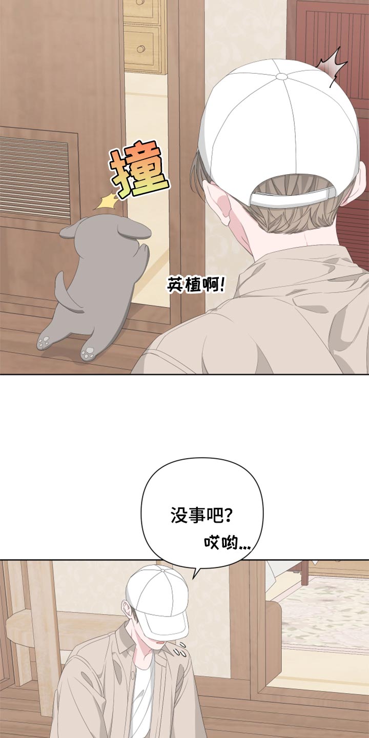 第76章：【第二季】四条腿的金英才25
