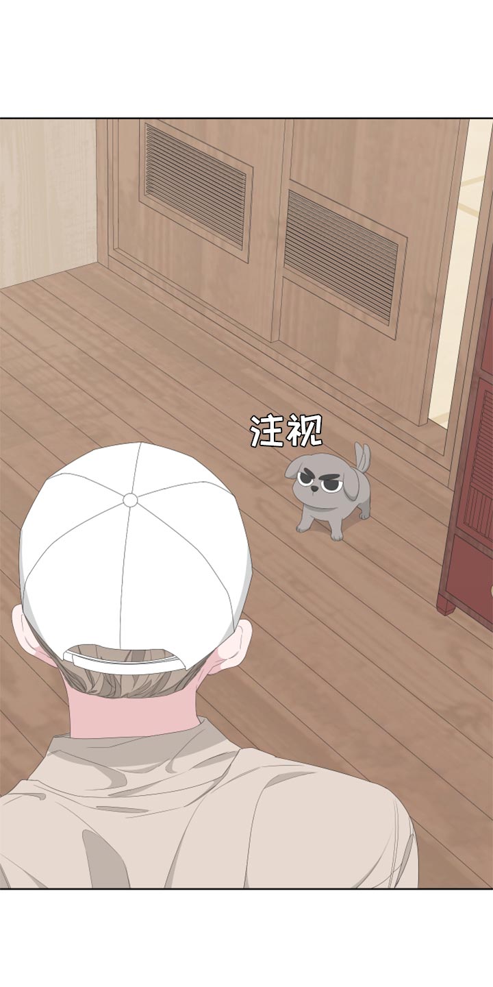 第76章：【第二季】四条腿的金英才22