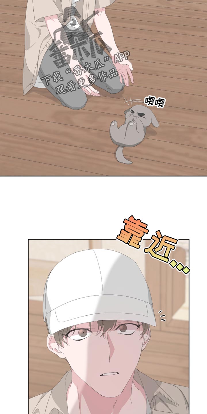第76章：【第二季】四条腿的金英才26