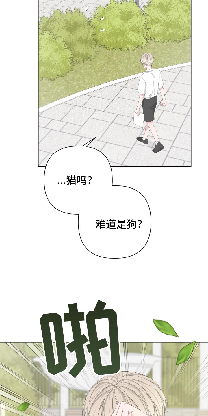 第125章：【第二季】旅行者17