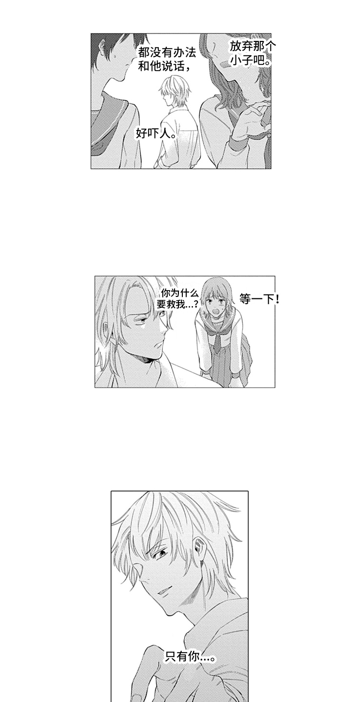 第8章：想了解更多5