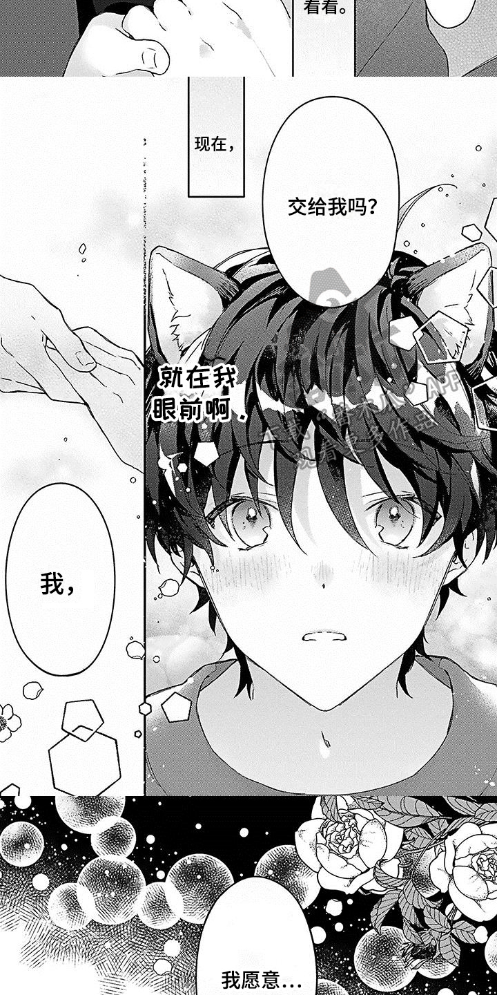 第4章：愿意3