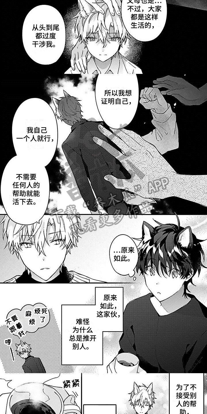 第11章：心动2