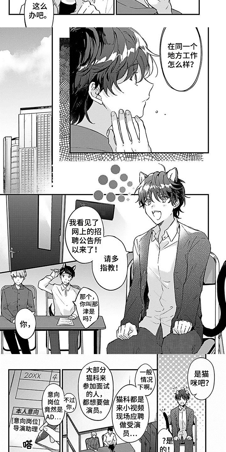 第1章：应聘5