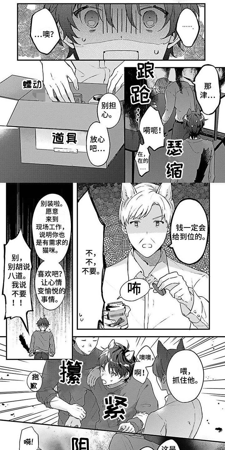 第3章：强迫0