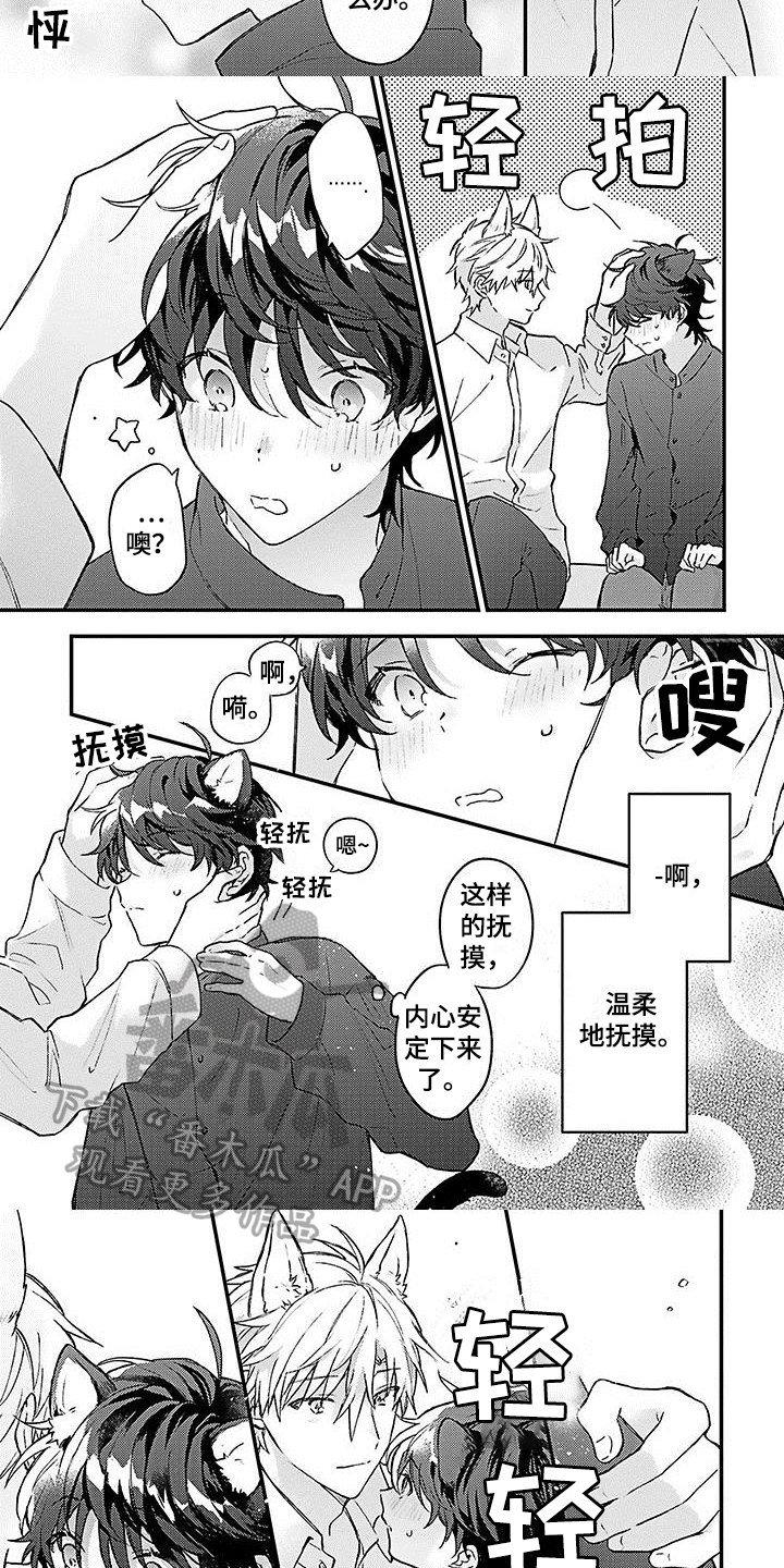 第5章：安定1