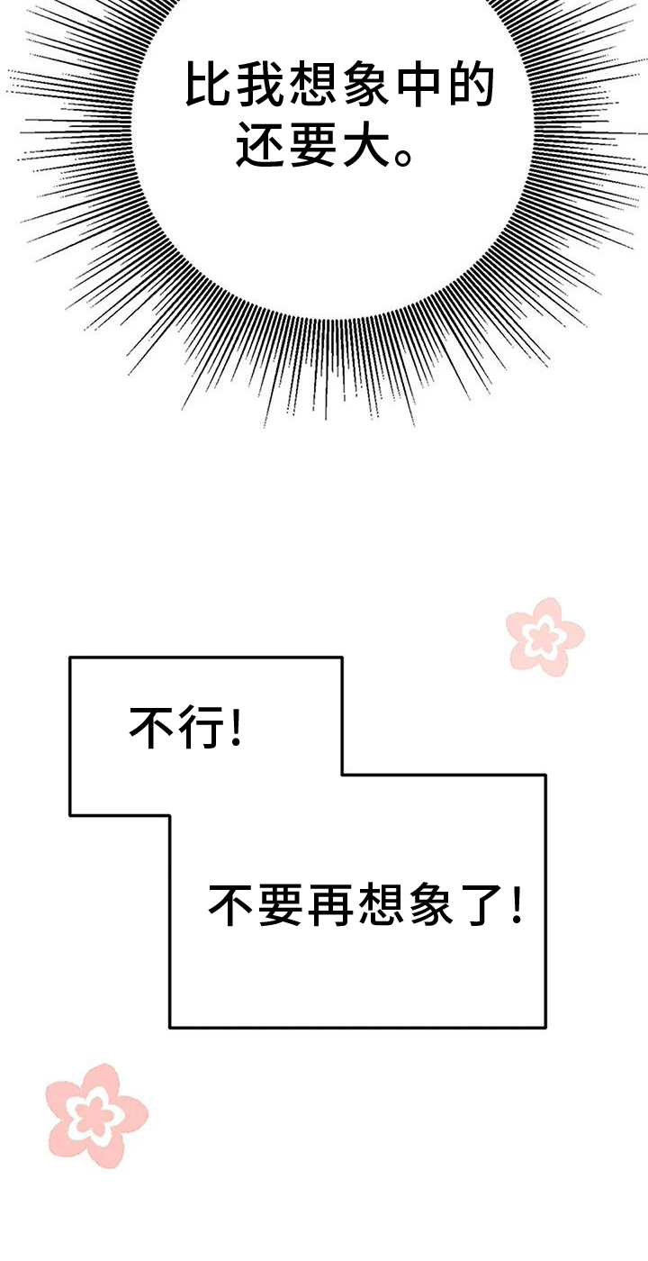 第19章：想象24