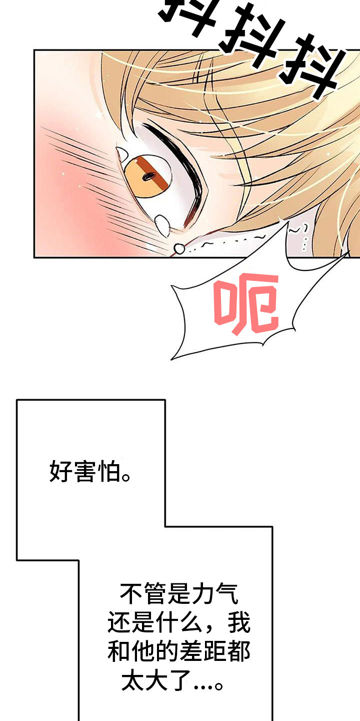 第15章：惩罚20