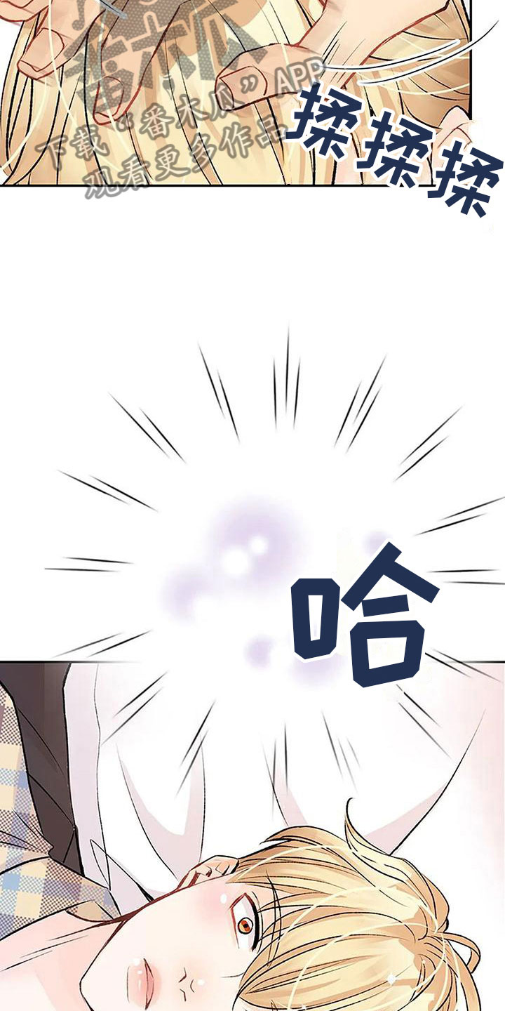 第6章：梦29