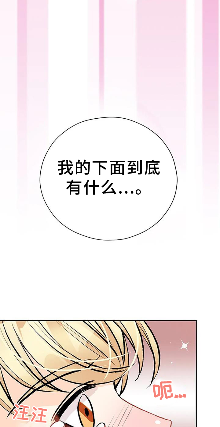 第19章：想象20