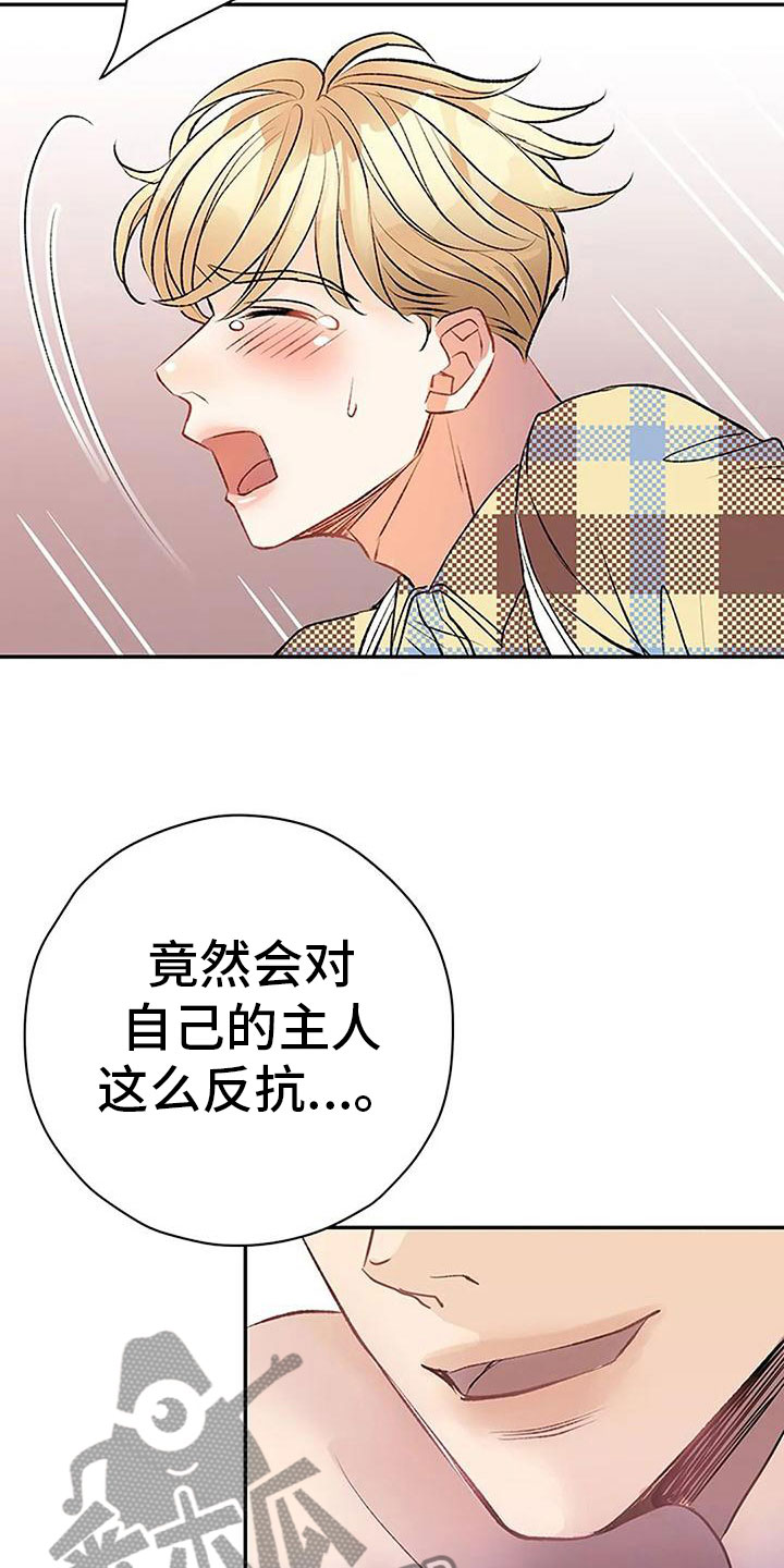 第15章：惩罚24