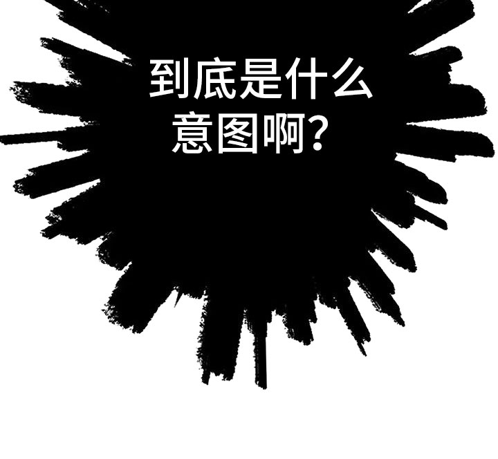 第17章：什么意图33
