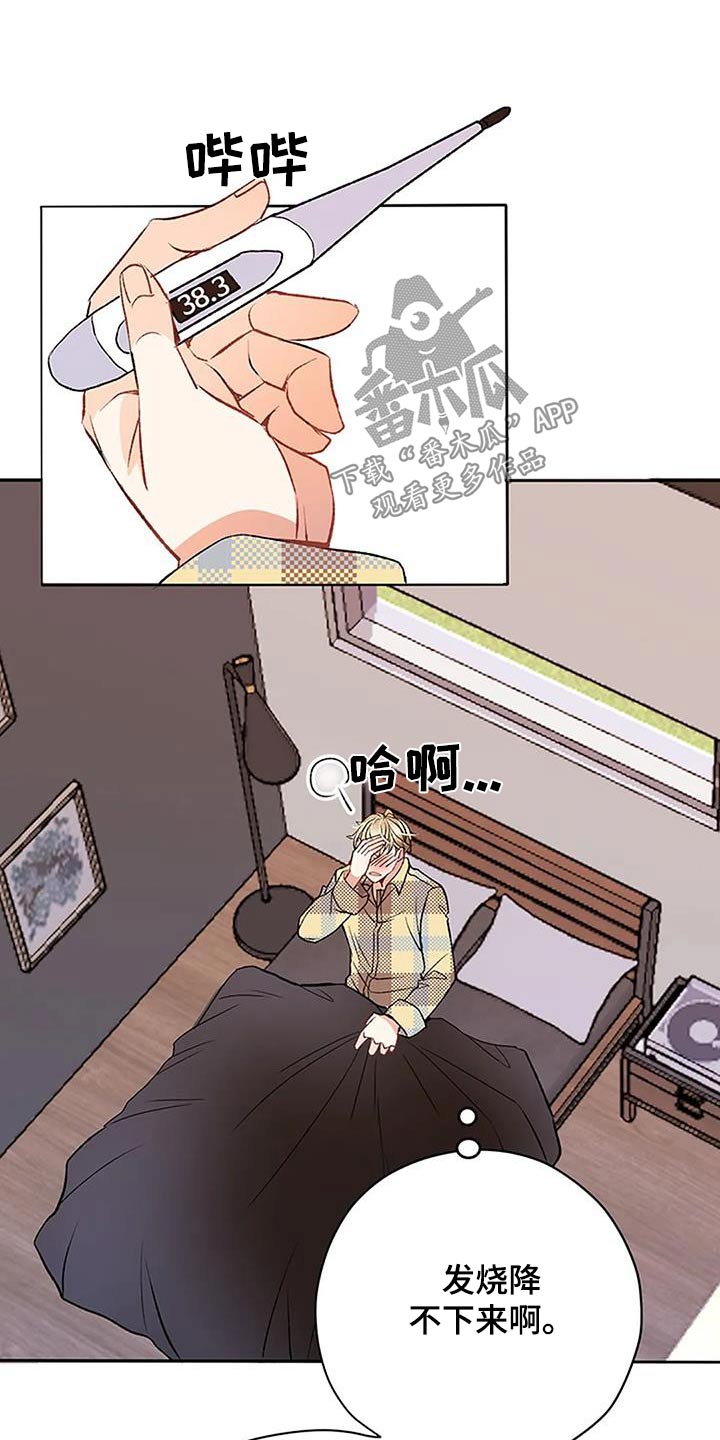 第31章：怎么道歉7