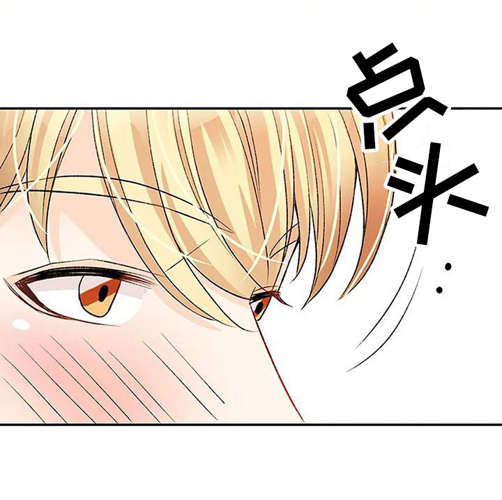 第4章：遗产分割11