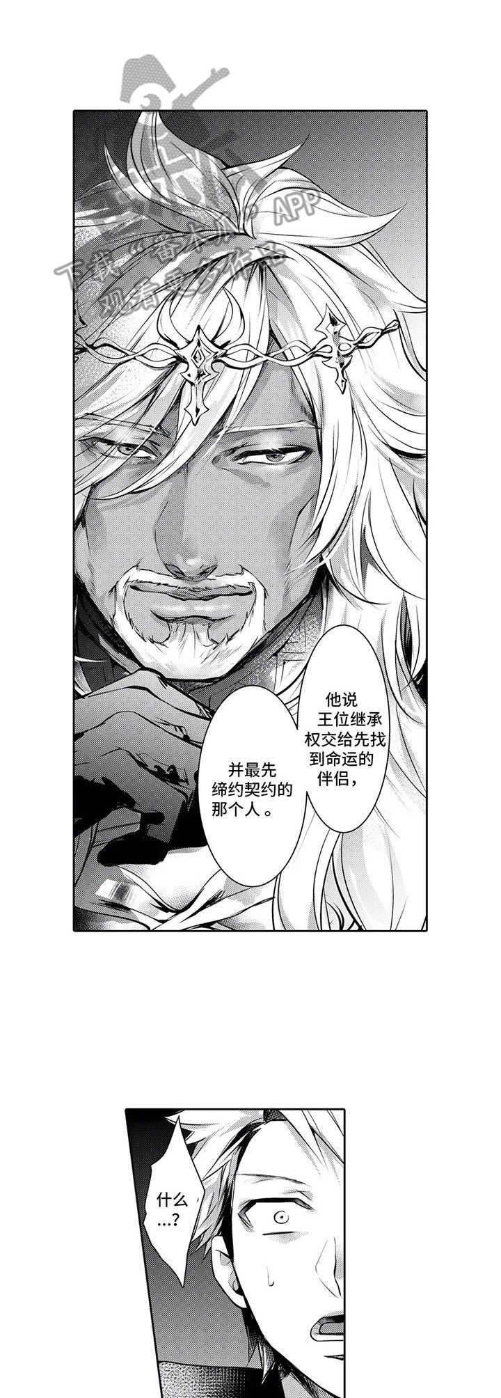 第15章：前因后果5