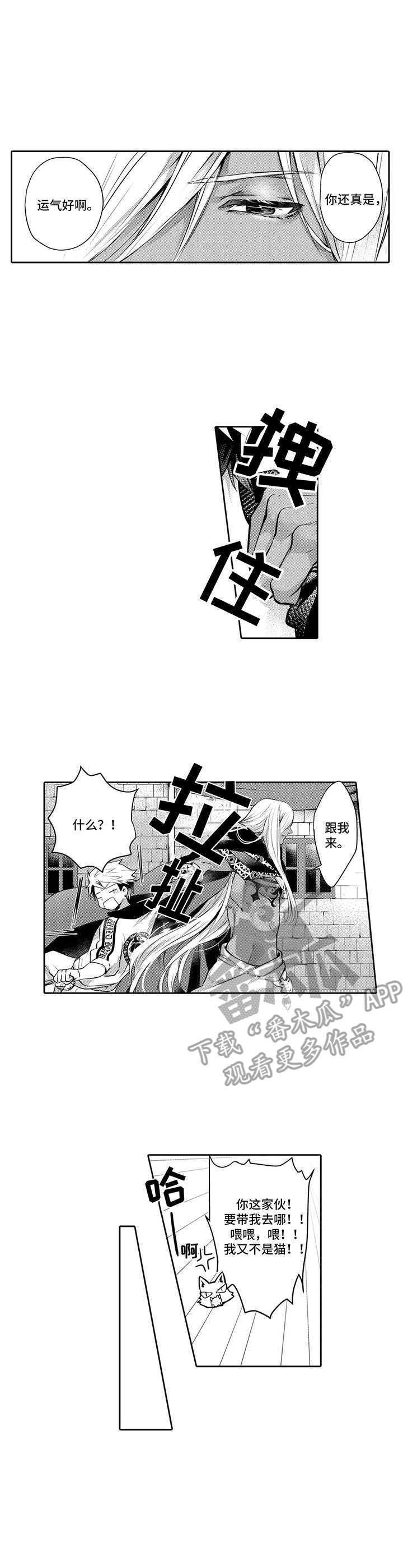 第13章：王族6