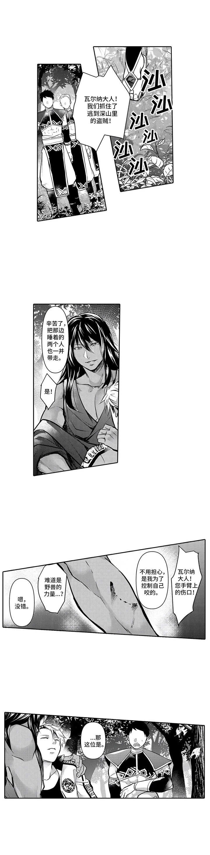 第3章：命中伴侣7