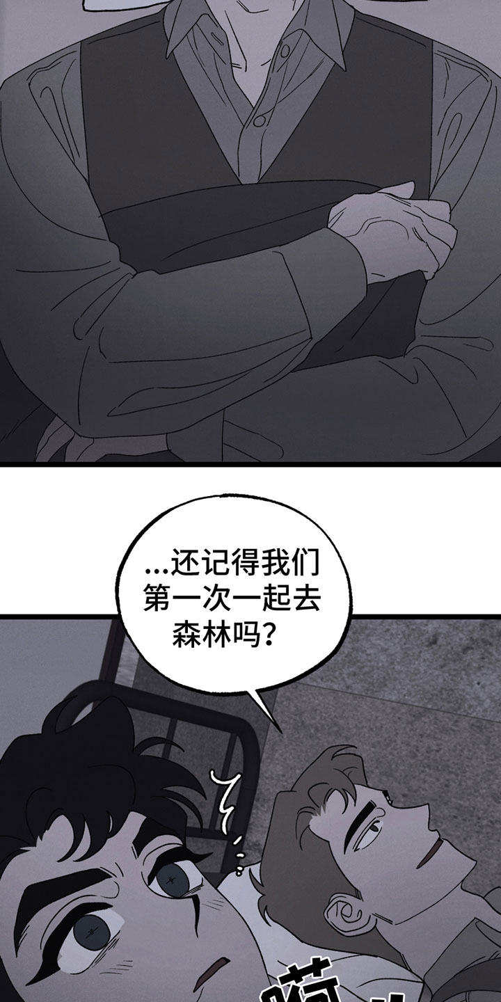 第17章：胡思乱想5