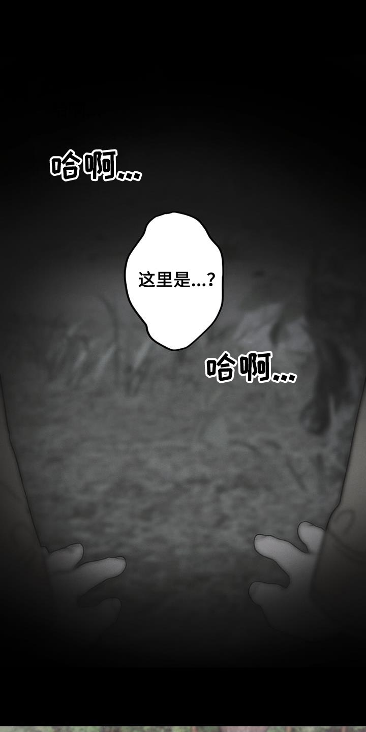 第25章：我也没关系9