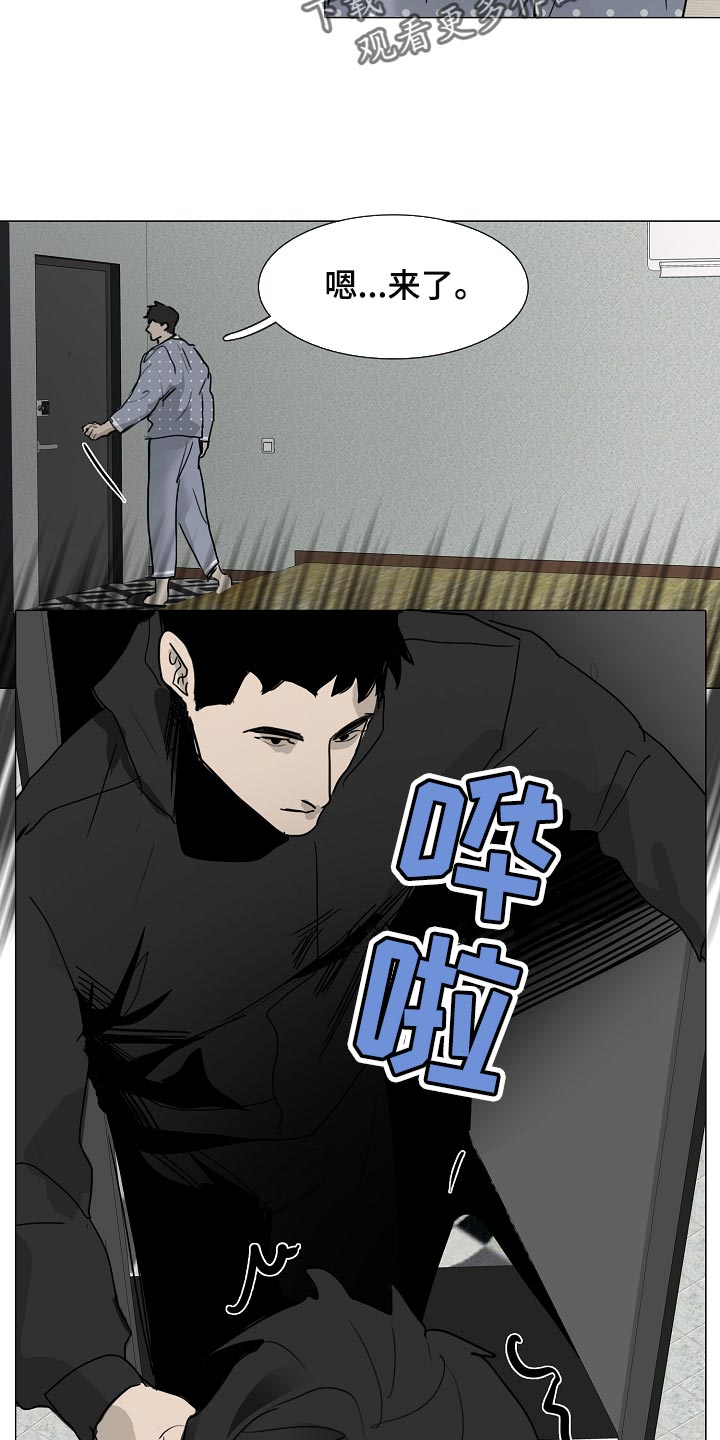 第31章：查询11