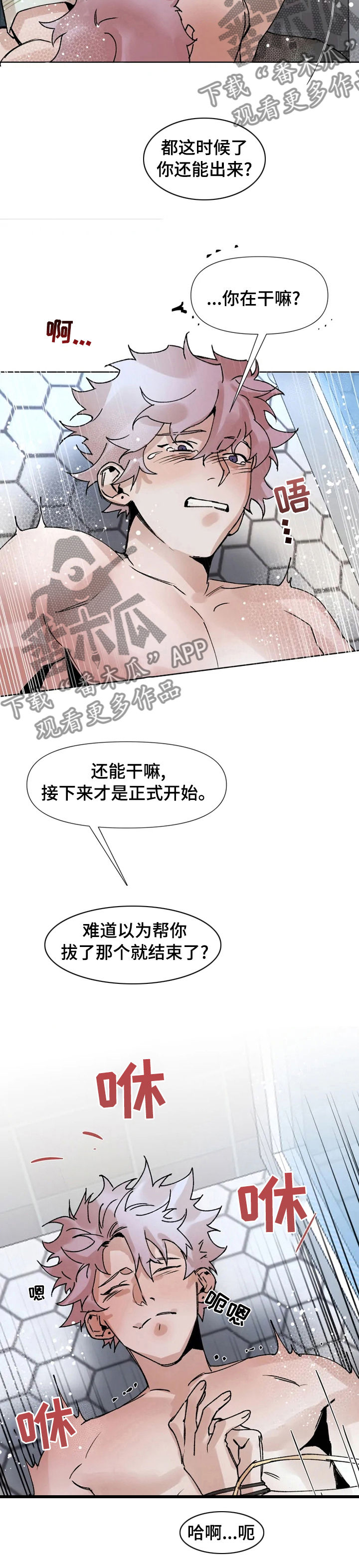 第50章：正式开始6