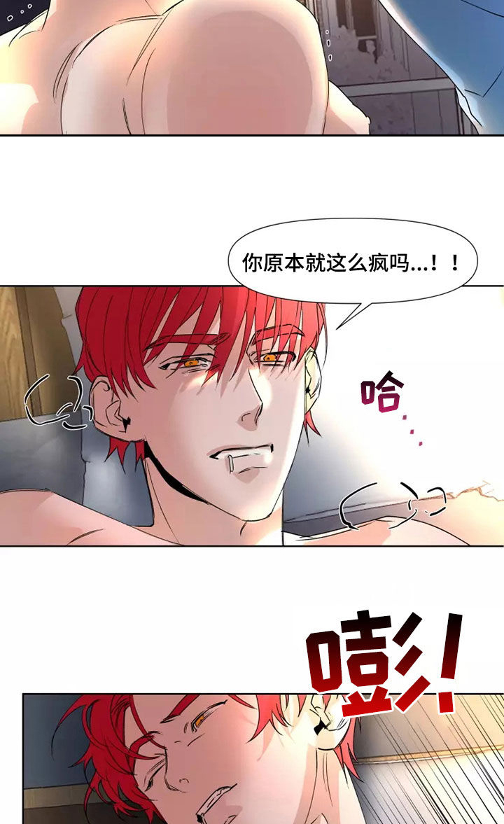 第81章：【番外】没有感情2