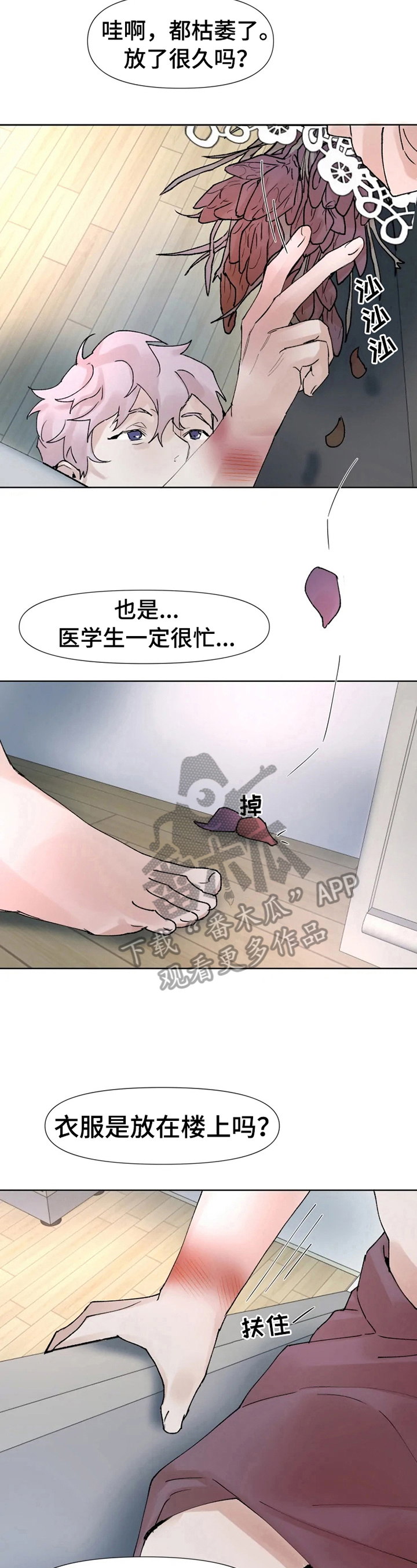 第37章：无法信任3
