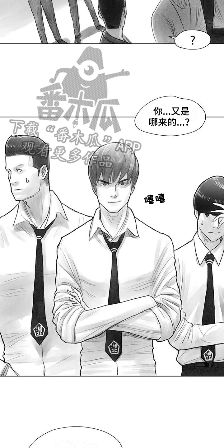 第46章：找茬13