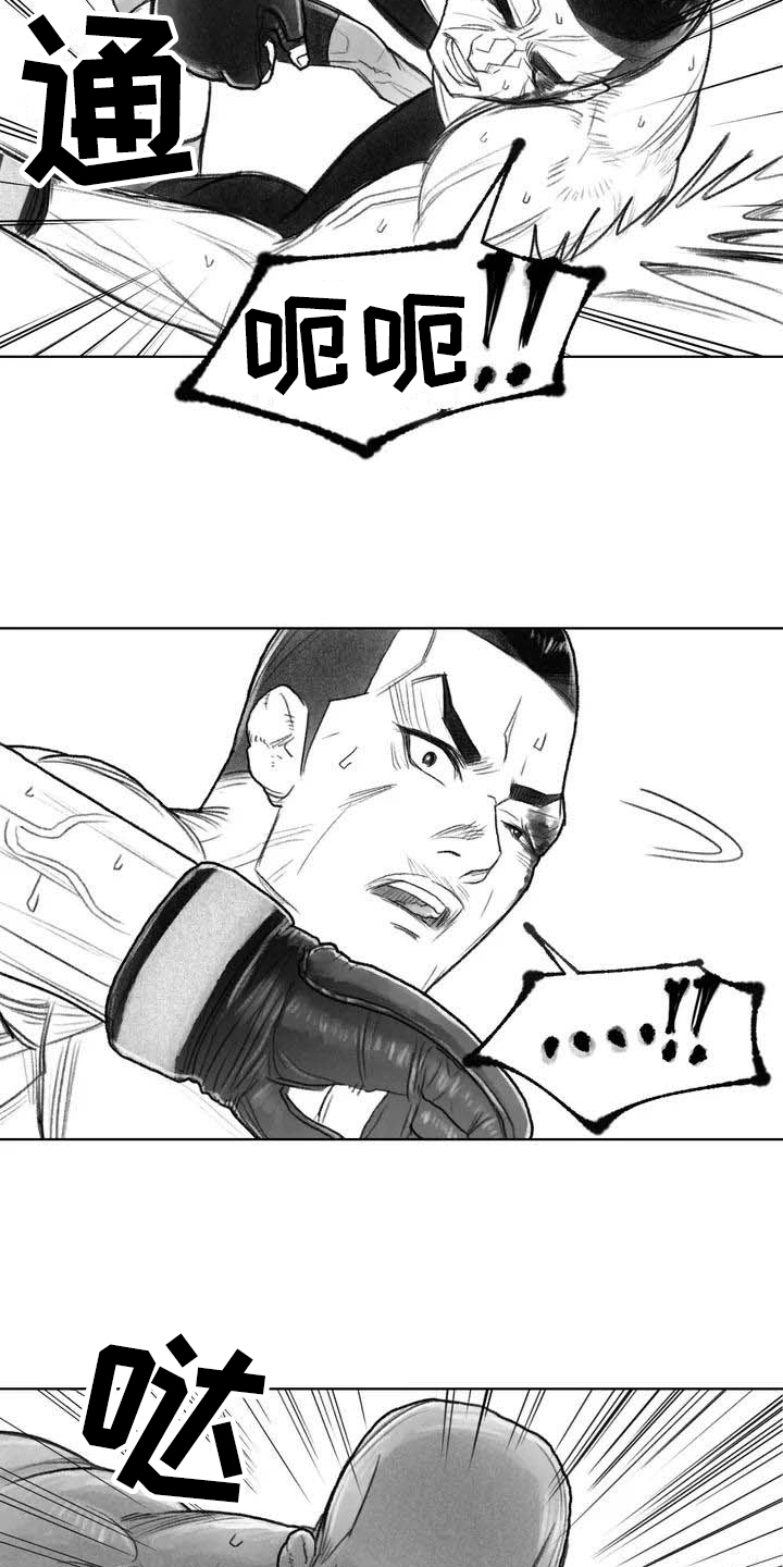 第1章：拳击11