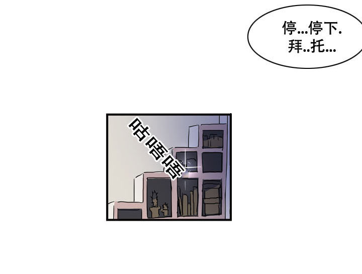 第13章：偷看0