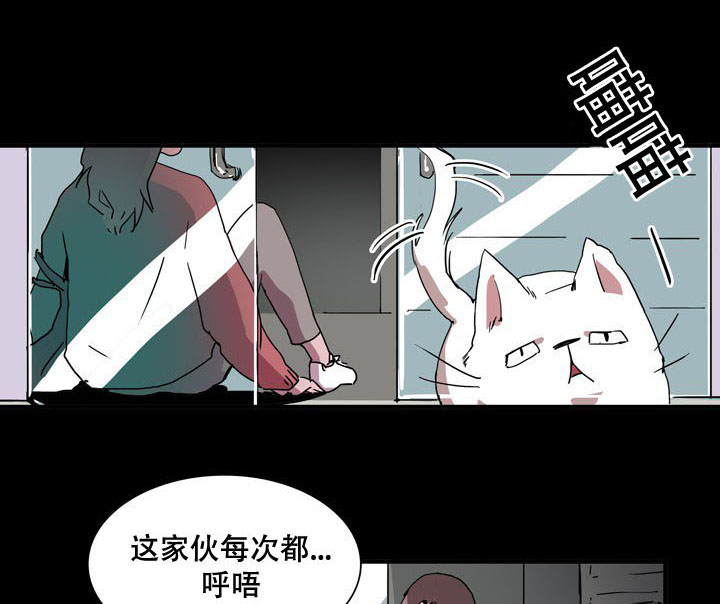 第29章：新计划0