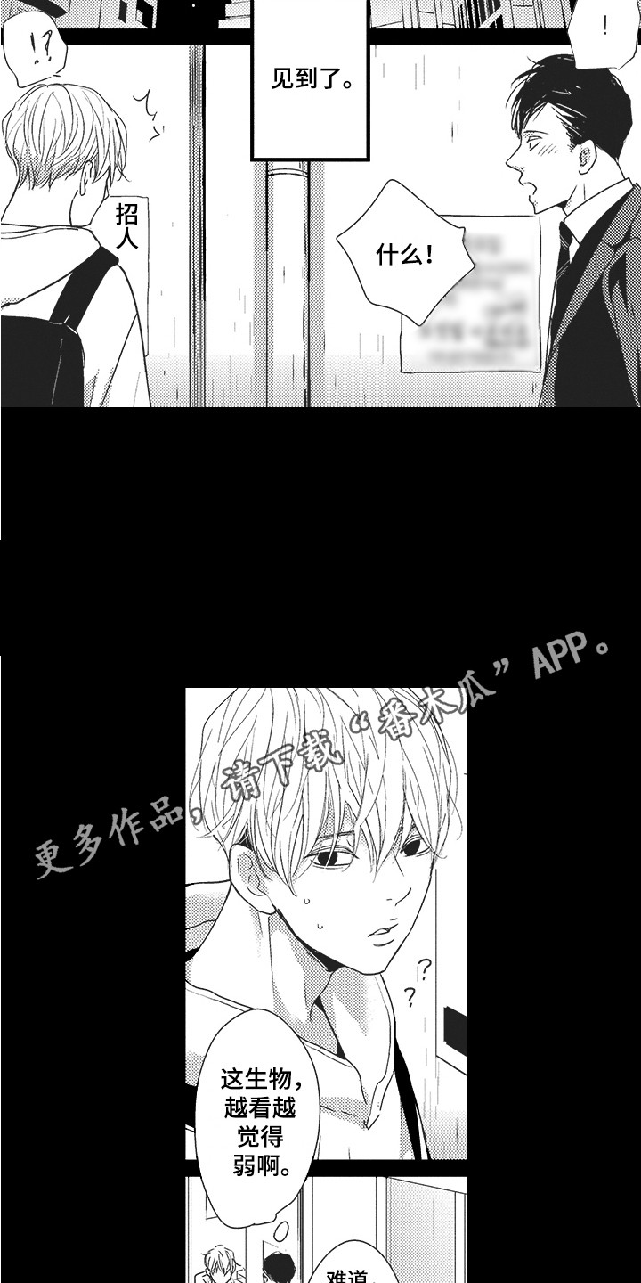 第21章：期待3