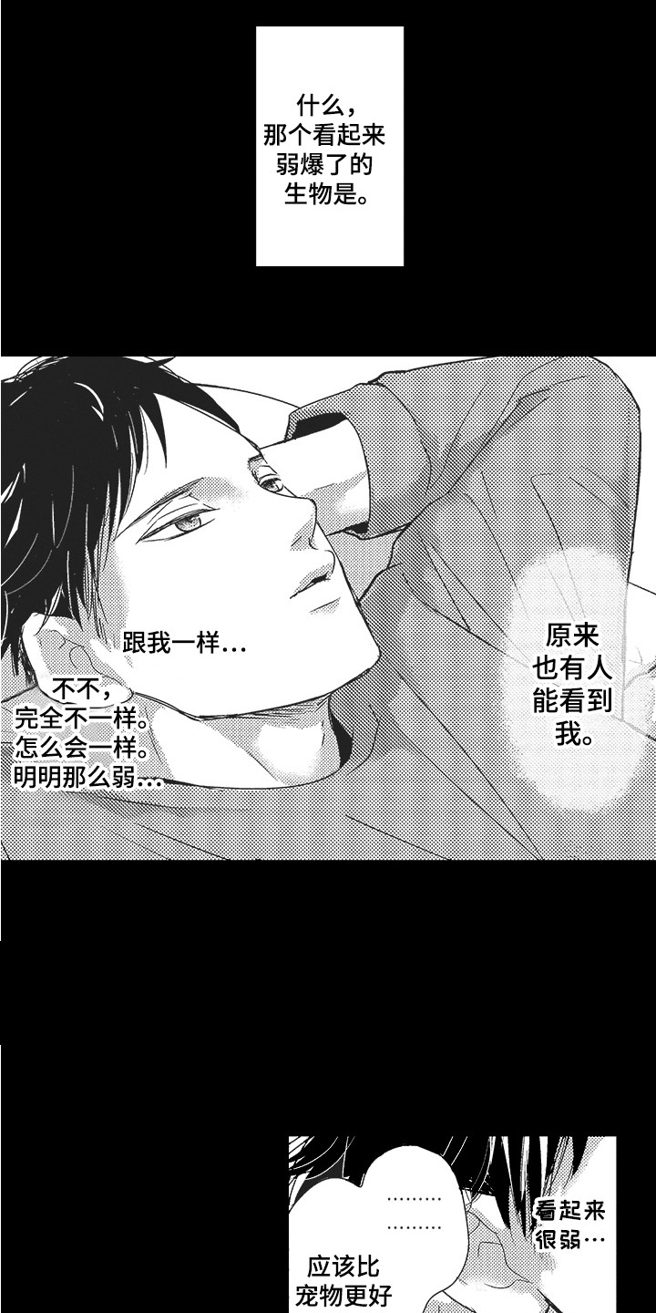 第21章：期待1