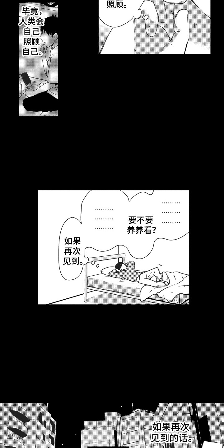 第21章：期待2