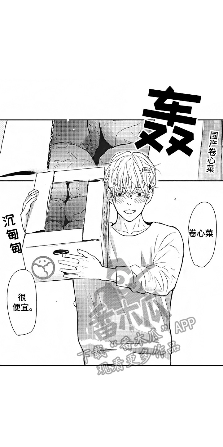 第16章：寻找13