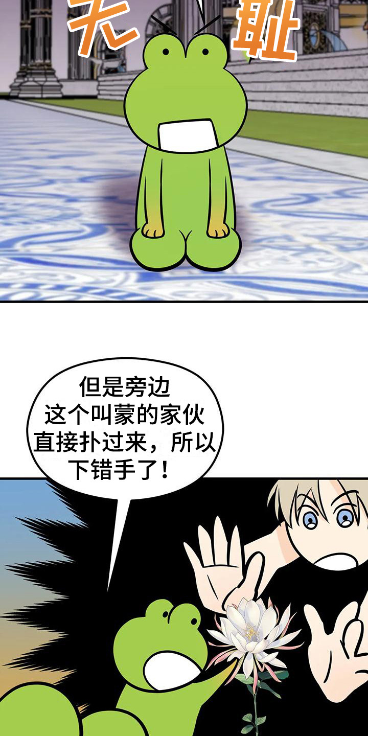 第6章：生命之花18