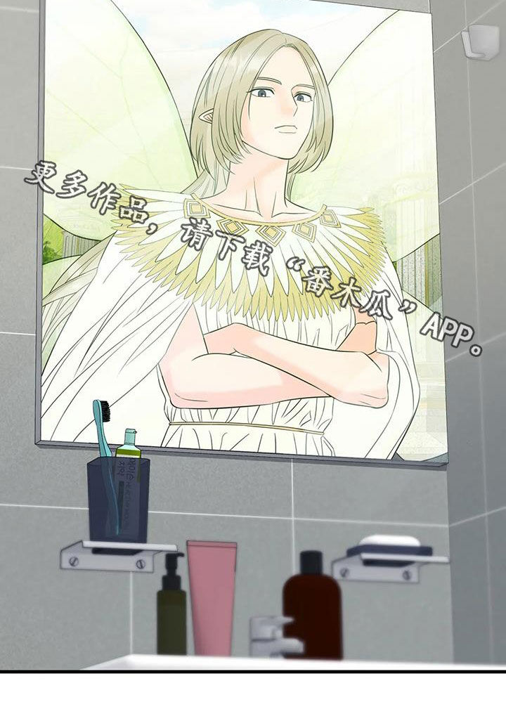 第17章：善良的妖精22