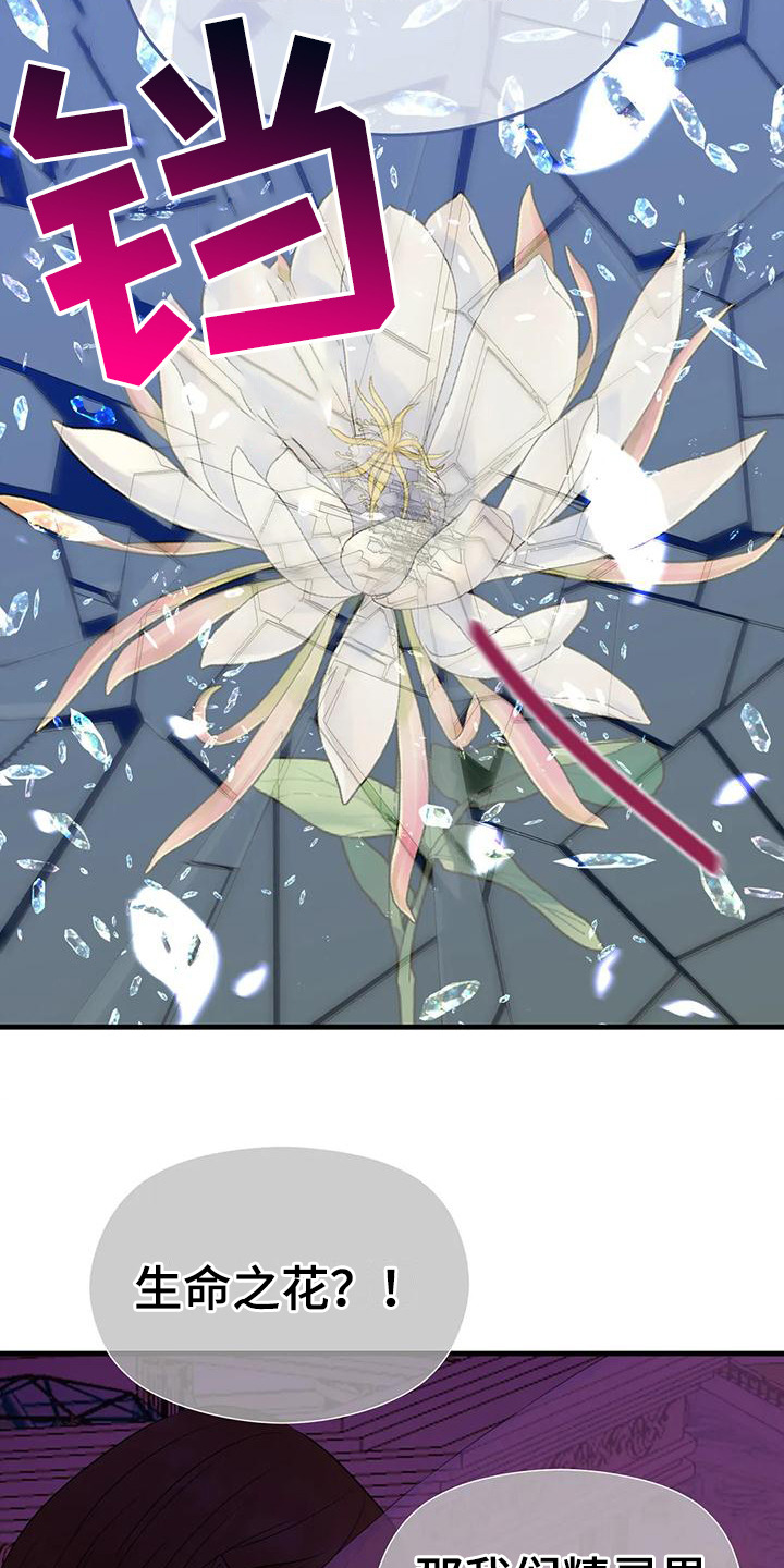 第6章：生命之花5