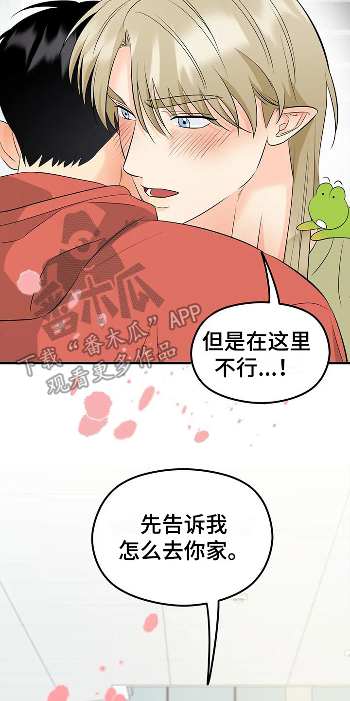 第10章：花纹16