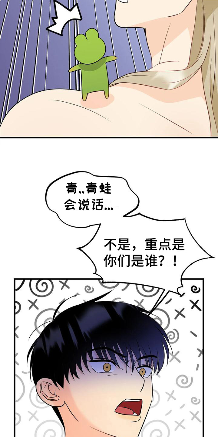 第3章：精灵16