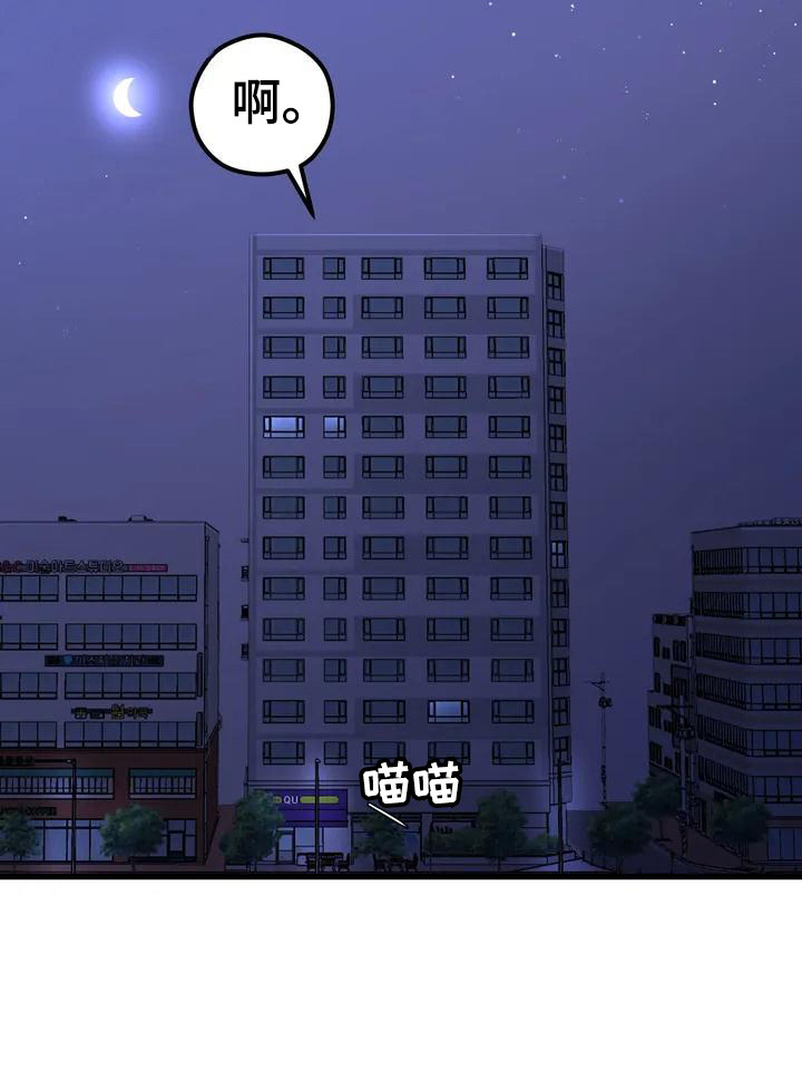 第3章：精灵11