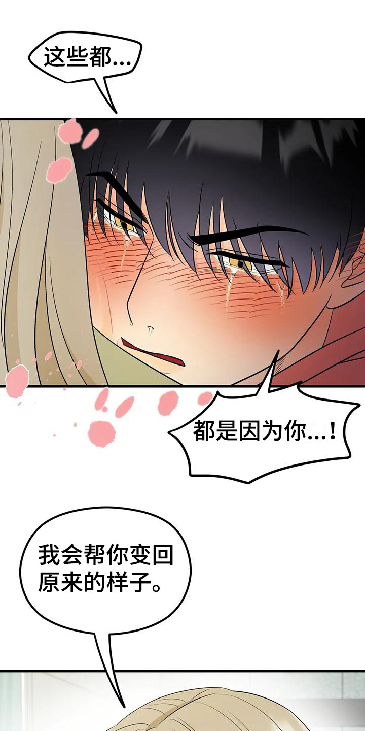第10章：花纹15
