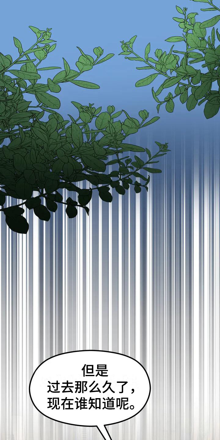 第1章：童话书9