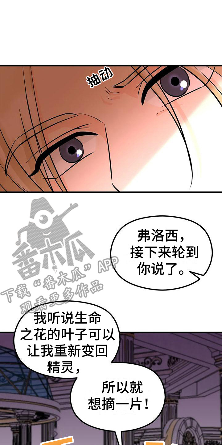 第6章：生命之花17