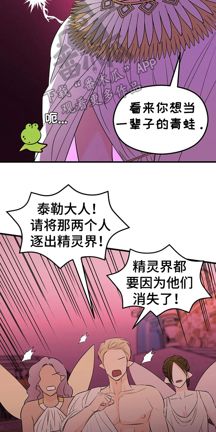 第6章：生命之花20