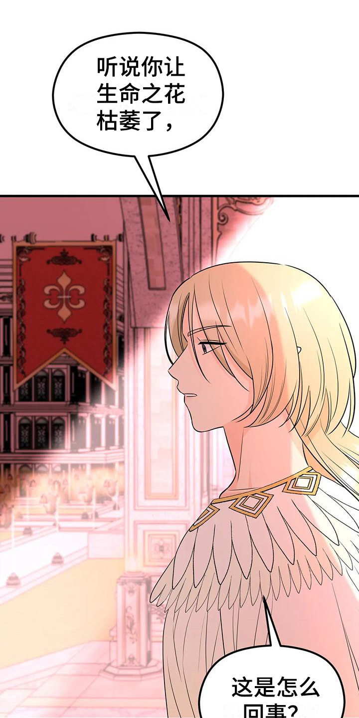 第6章：生命之花12