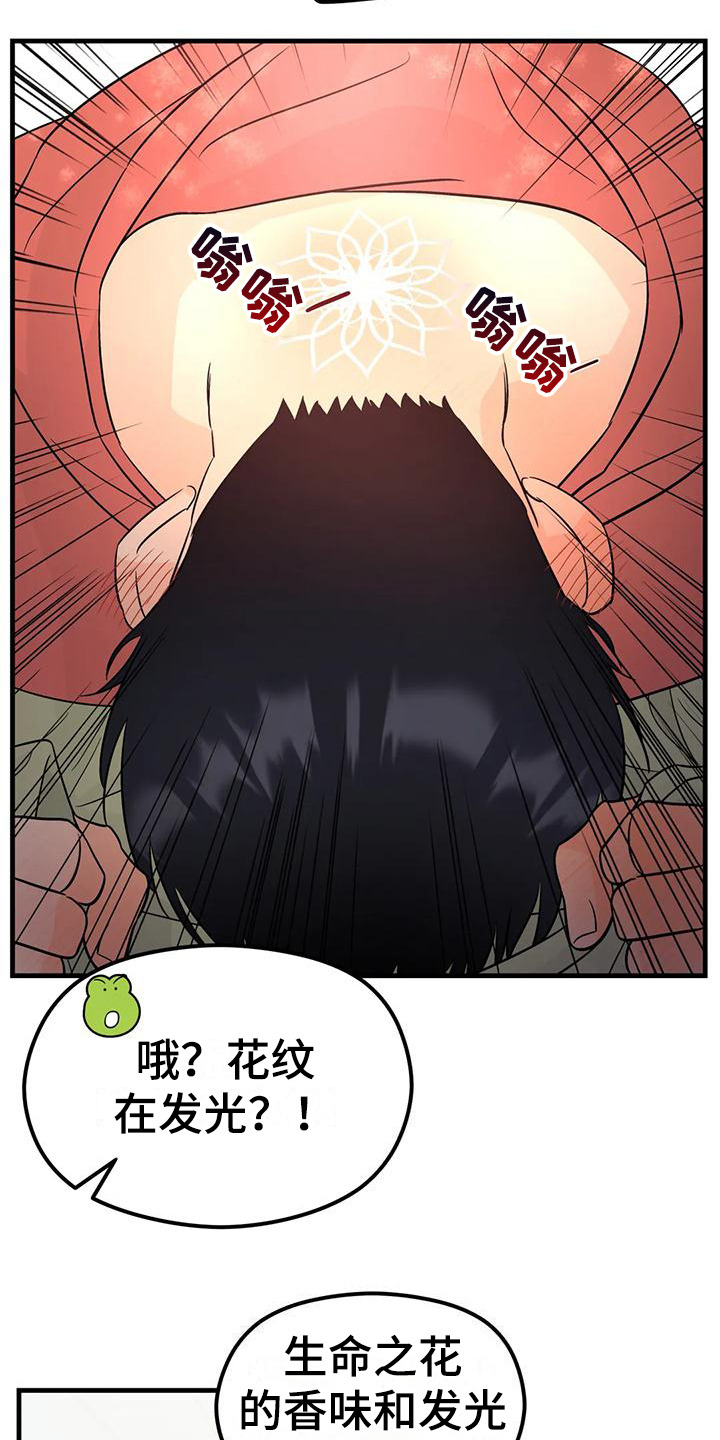 第10章：花纹6