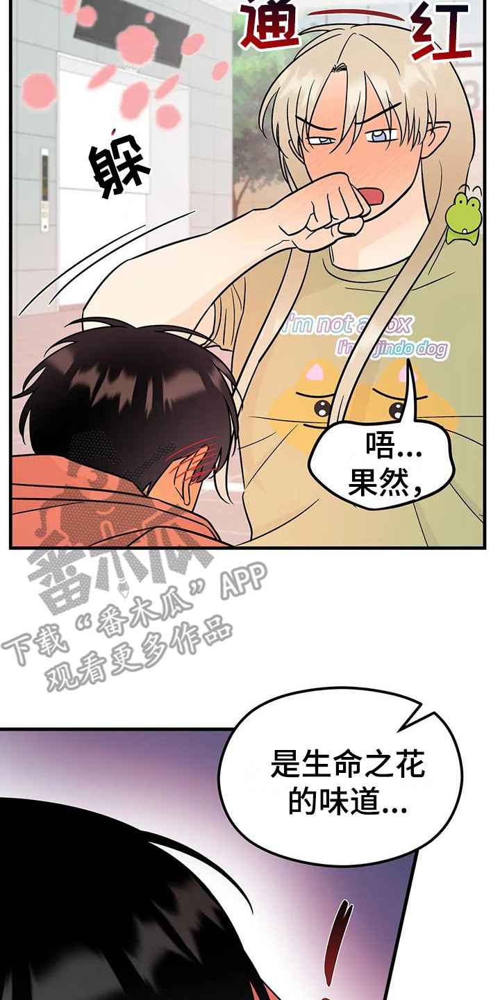 第9章：香味20