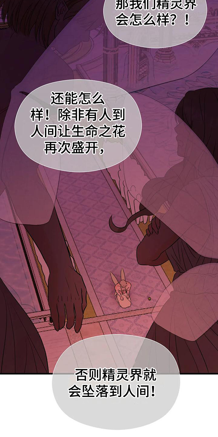 第6章：生命之花6